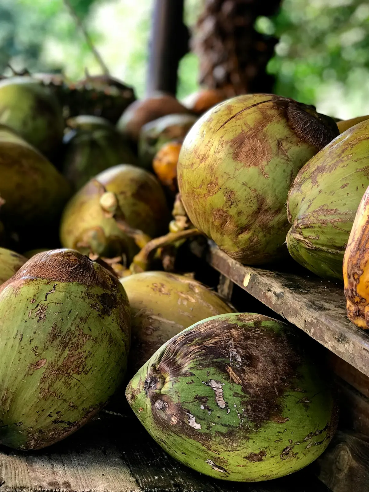 Coconuts supplied from Punalvasal near Thanjavur