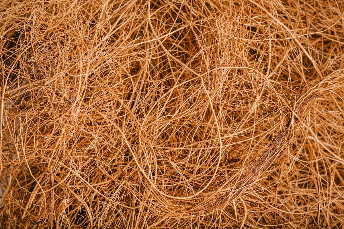 Coir fiber supplied by MUM Coir Industry near Thanjavur