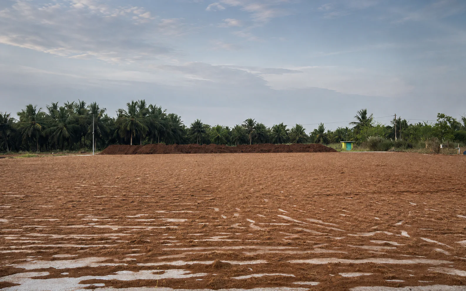 Prepared coir work yard at MUM Coir Industry